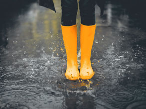 Significant Rainfall Possible Across Avalon Peninsula