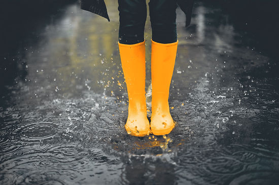 Lüneburg Regen Herbst