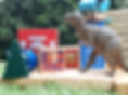 20200816_142237.jpg