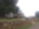 Screenshot_20230313_075842_Gallery_edited.jpg