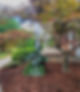 Sherri Schooler Landscape.jpg