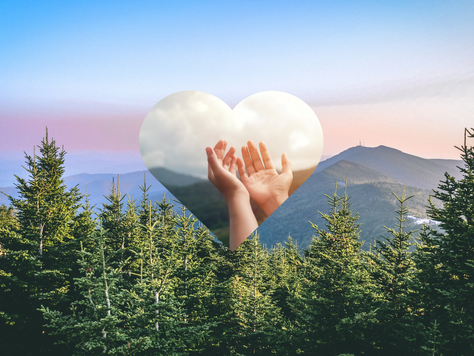 Here's How You Can Help Heal after Hurricane Helene