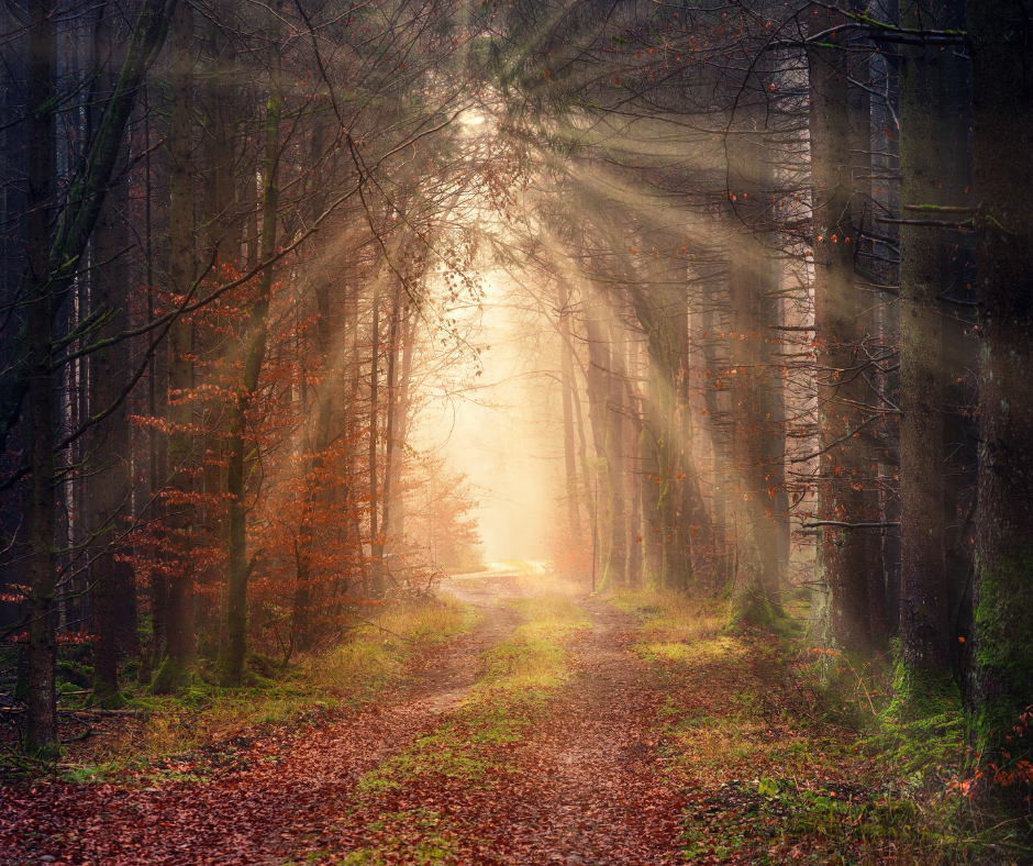 Find Your Reiki Path Class