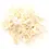 Thumbnail: Oignon blanc