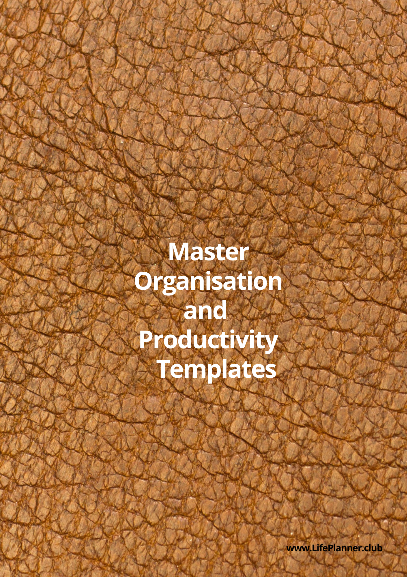 Master Organisation and Productivity Templates