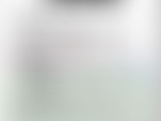 PARTIDOS 10 Y 11 DE ENERO