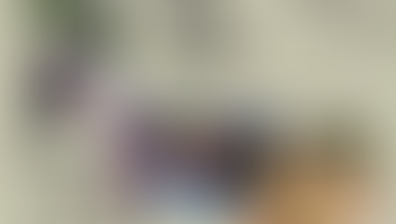 Enchanting India,Explore the Himalaya with wildlife and beaches.