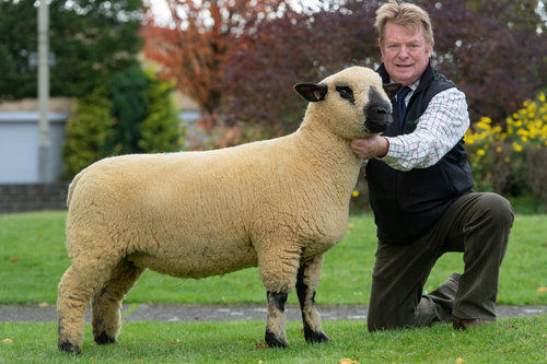 Lot269+topPriceBallycreelly.jpeg