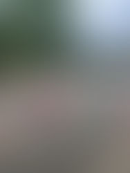 Active Week in Junior Infants