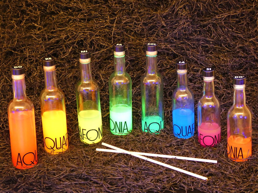 Miniatura: BOTELLÒFON DIATÒNIC AFINAT (DO-DO) 8 AMPOLLES