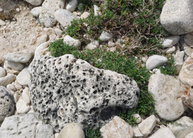 2 Fels am Strand.jpg