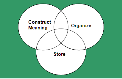 phase_declarative_knowledge