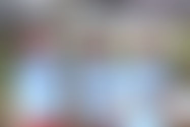 Arbor Day: Rooting Our Future in Sustainability and Growth