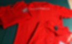 Embroidered polo shirts displaying company logos, suitable for corporate uniforms or team apparel.