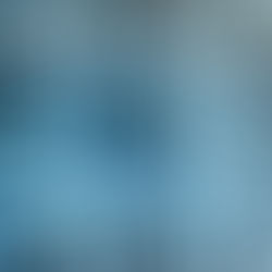 Events & Exhibitions - 2013