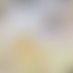 Events & Exhibitions - 2014