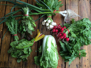 Winter Share 2023: Week 13 Last Week!!