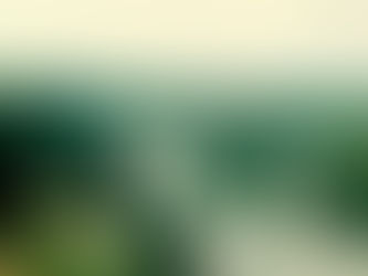 Wrentham 350 March 2022 Newsletter