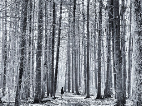 Wrentham 350 November 2022 Newsletter