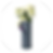 sandra_circle_2