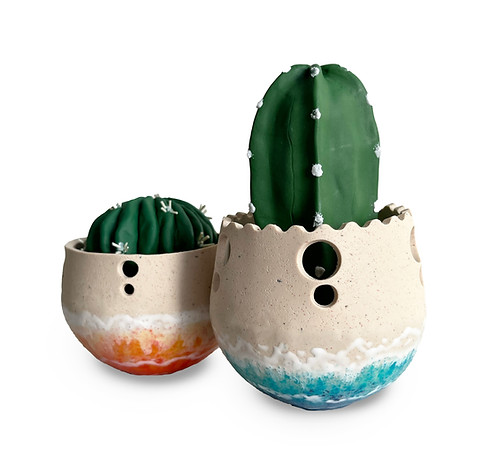 Seaside Sandcastle Potted Cacti 1.jpg