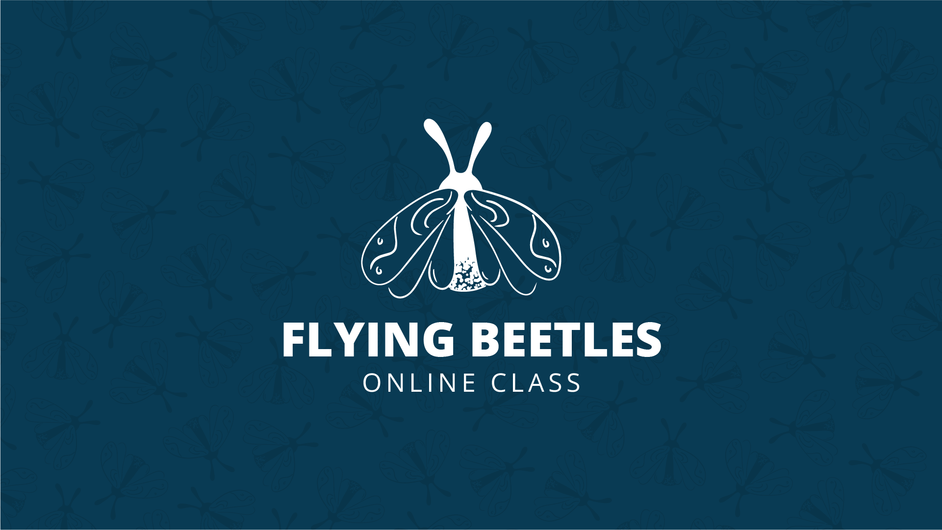 FLYING BEETLES - TICKET