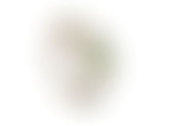 MEMBERS MEETING | FEBRUARY 2026