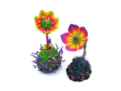 ONLINE SESSION WITH FIONA ABEL SMITH