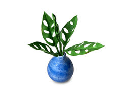 MONSTERA POT • Eduardo Farillo