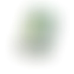 TURN OVER A NEW LEAF