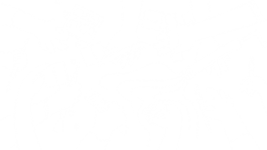 main ilu.png