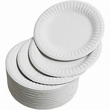0023170_round-white-paper-plates-9-229cm