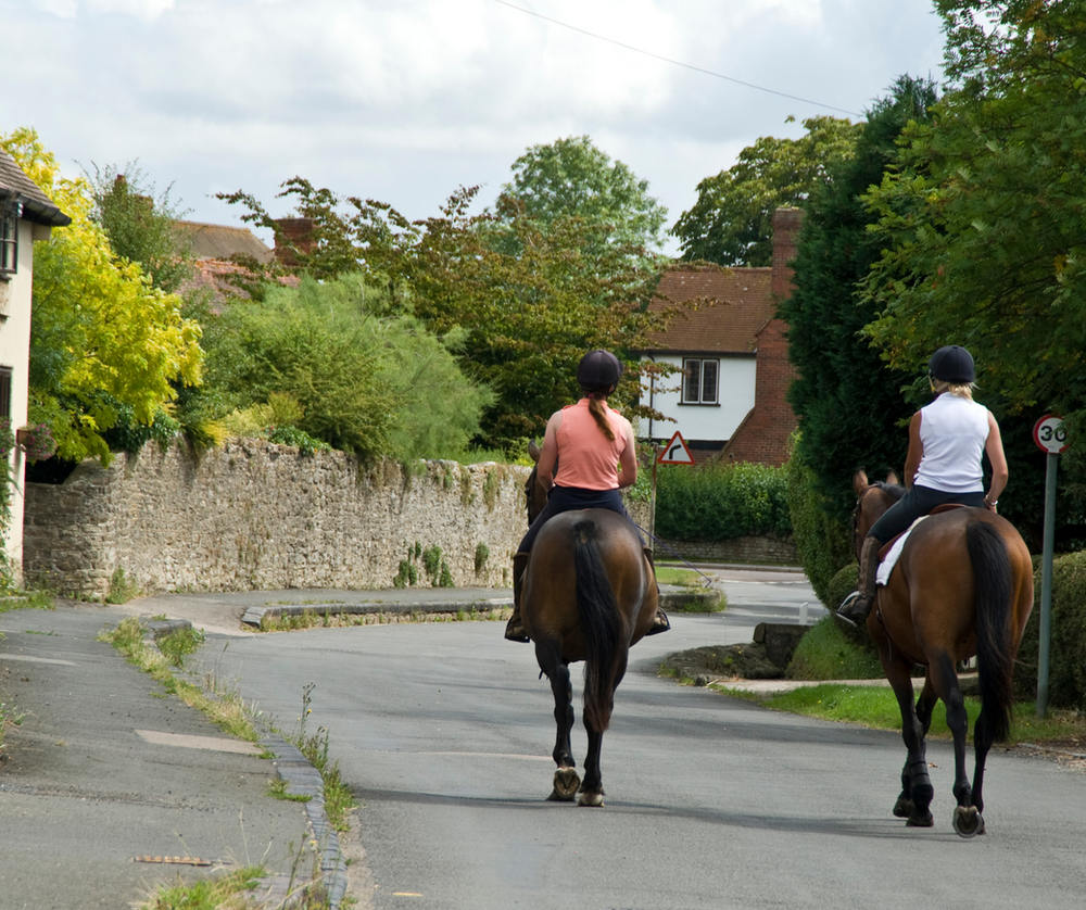 Horses on roads
