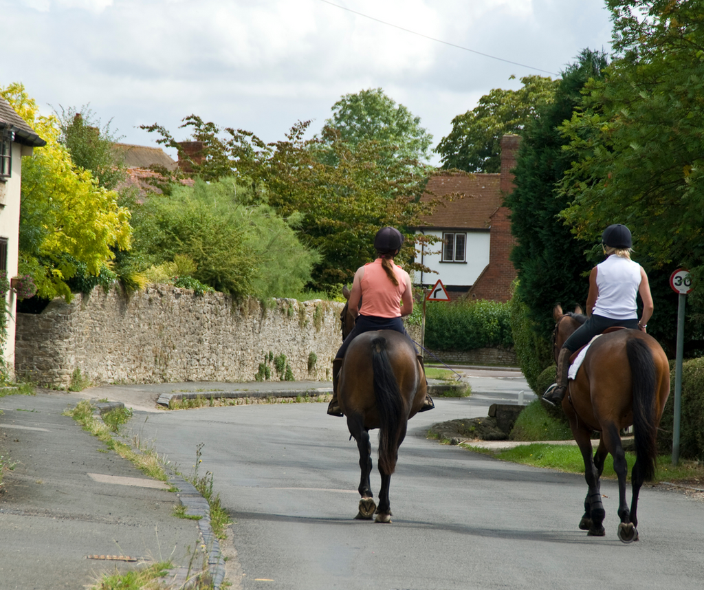 Riding School Surrey Kingsmead Horses