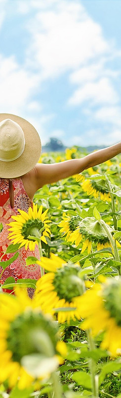 04 PAROLES - CD3 - 08. Kiti song.jpg