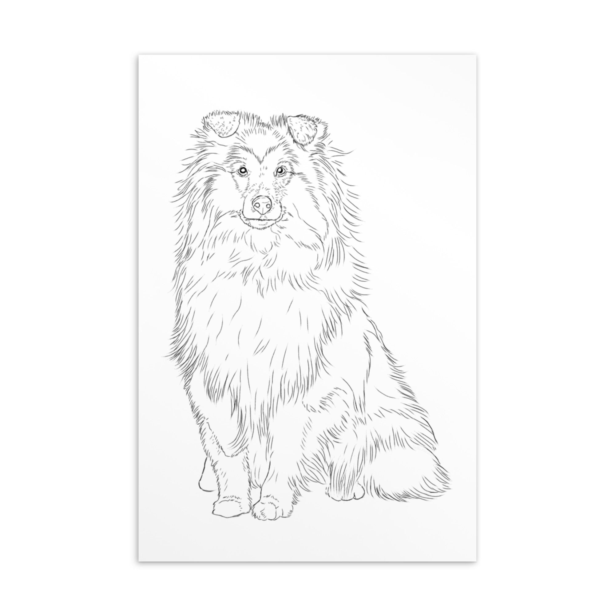 Shetlanninlammaskoira -postikortti