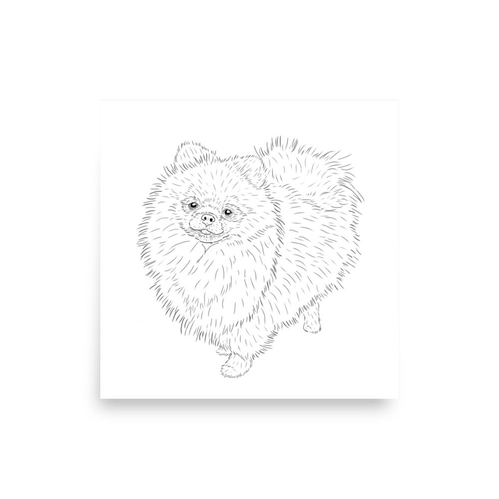 Pomeranian -taidejuliste