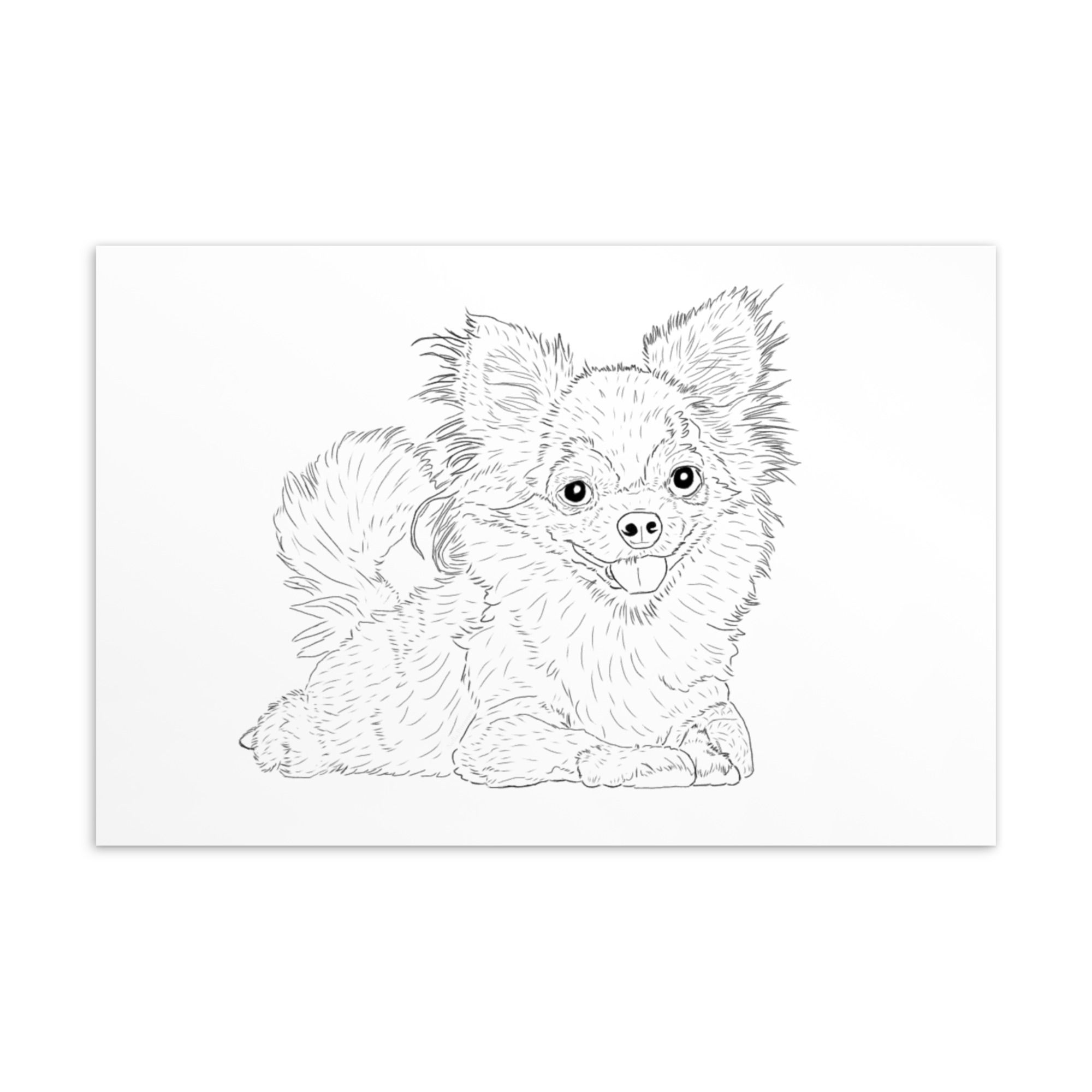 Chihuahua -postikortti