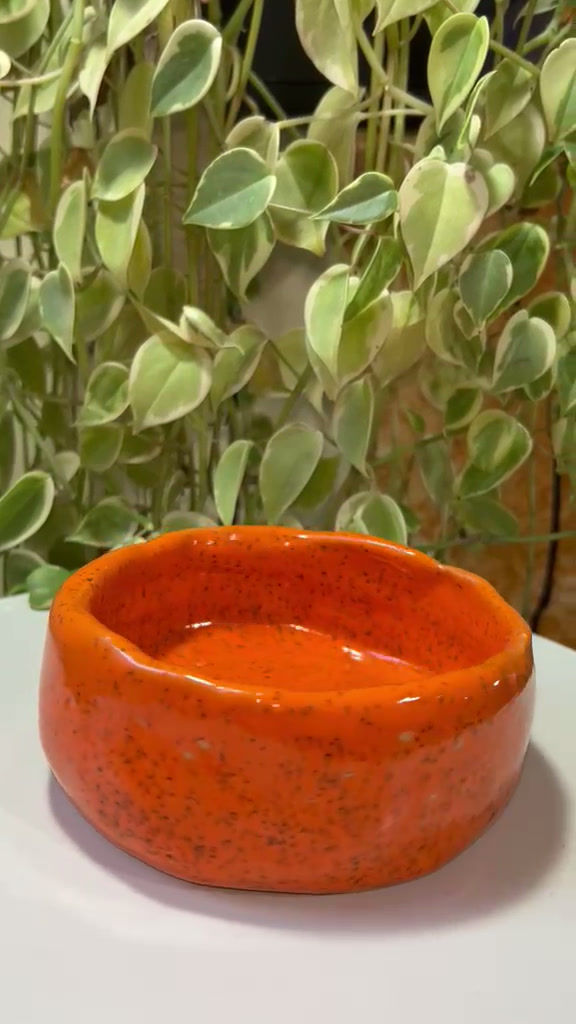 Miniatura: Tijela LARANJA COM PINTAS