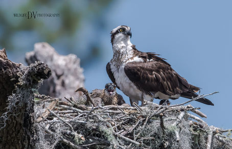 Upcoming Tours Going Fast!