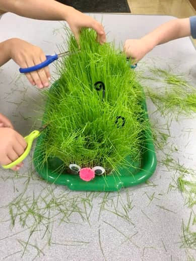 A bright green grassy caterpillar, with tall hair, googly eyes, and a pom pom nose sits on a green tray as three kids give the caterpillar a haircut using scissors.