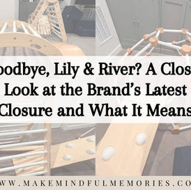 A blog post graphic titled “Goodbye, Lily & River? A Closer Look at the Brand’s Latest Closure and What It Means” is overlaid on a collage of indoor climbing toys, including a Pikler triangle, balance ramp, and climbing dome. These popular wooden play structures are part of the Lily & River product line. The image also includes the website URL “www.makemindfulmemories.com” at the bottom.