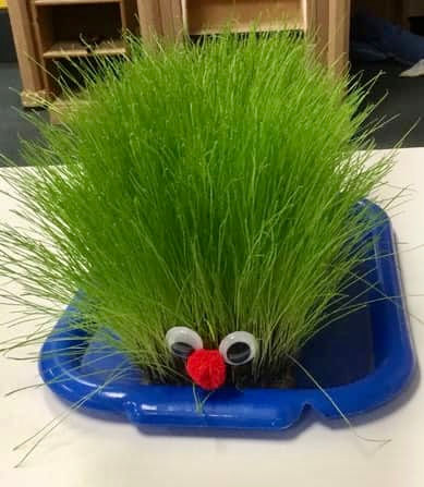 A bright green grassy caterpillar, with tall hair, googly eyes, and a pom pom nose sits on a blue tray,