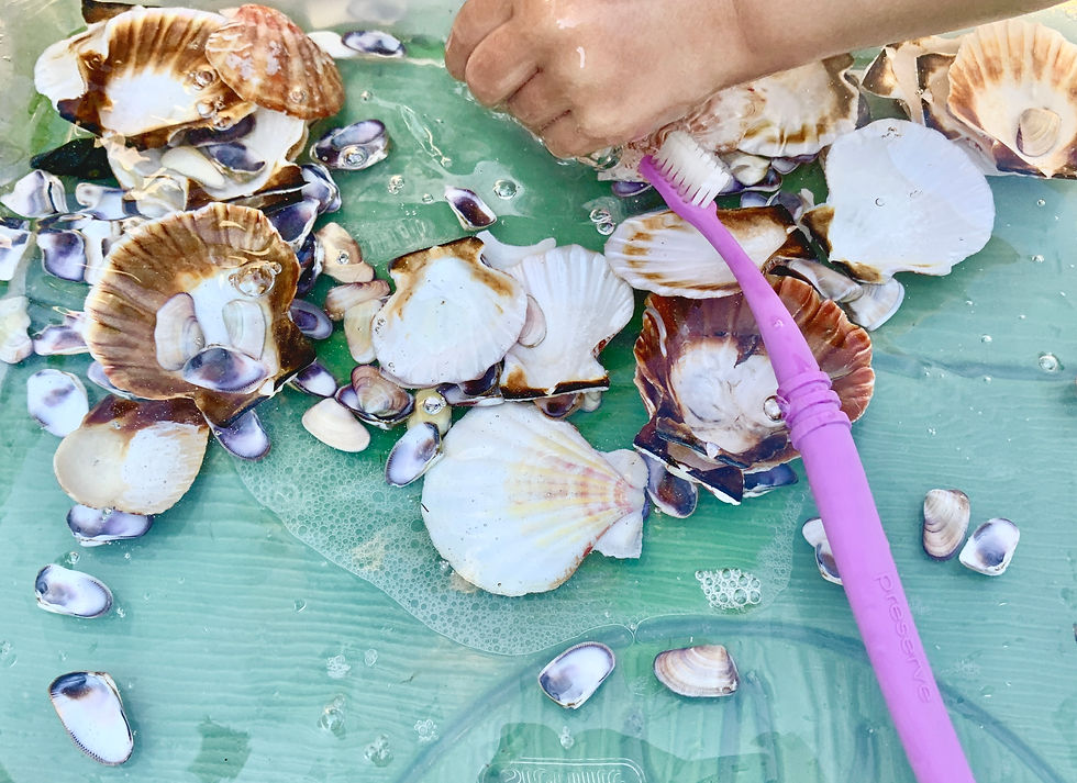 Toddler hand washing seashells in a clear sensory bin using a toothbrush.