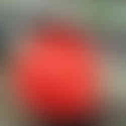 A hand holding a red colander upside down, showcasing it as a potential decorative item, with a sign above reading 'Grab It Before It's Gone!' in a Dollar Tree store.