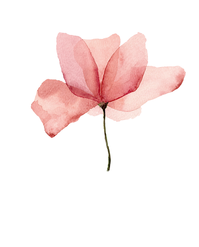 Logo Anne fleur fond transparent.png