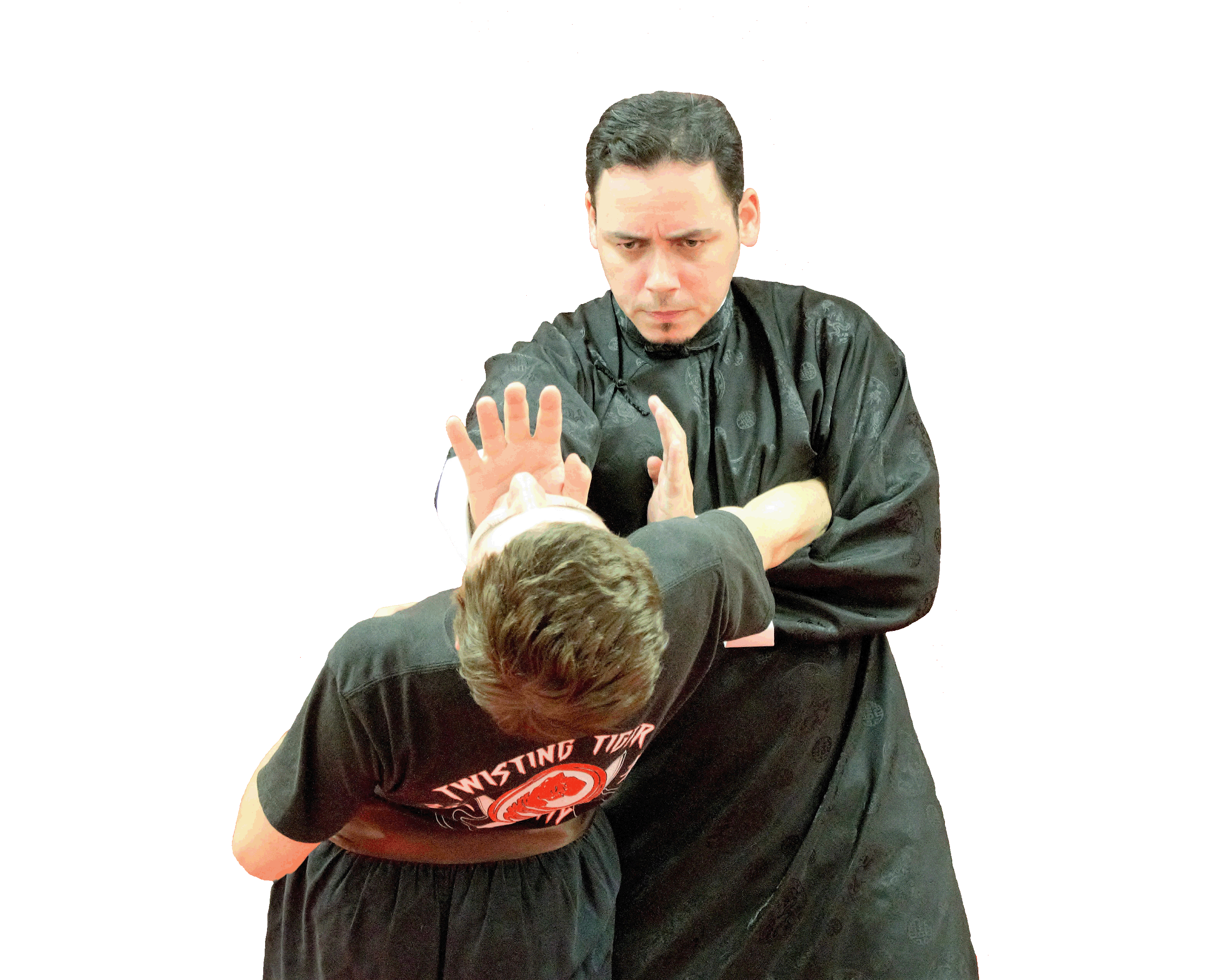 Specialty of Wing Chun