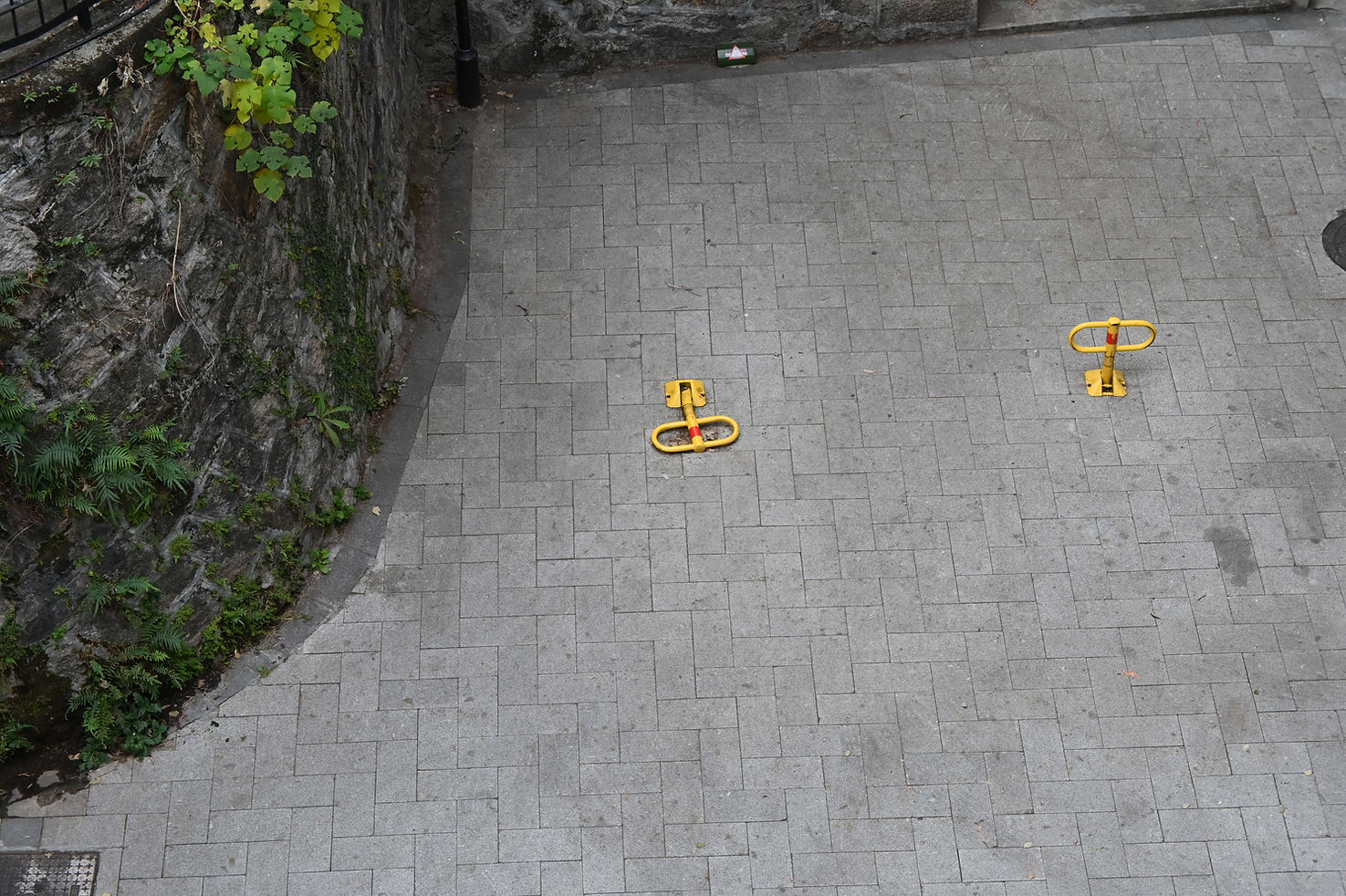DSC_4046.JPG