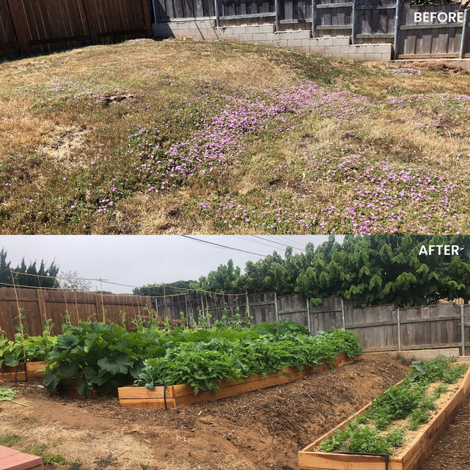Micro-Farm Transformation