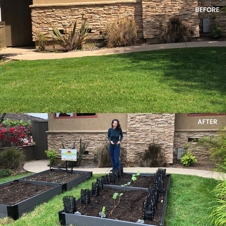 Micro-Farm Transformation